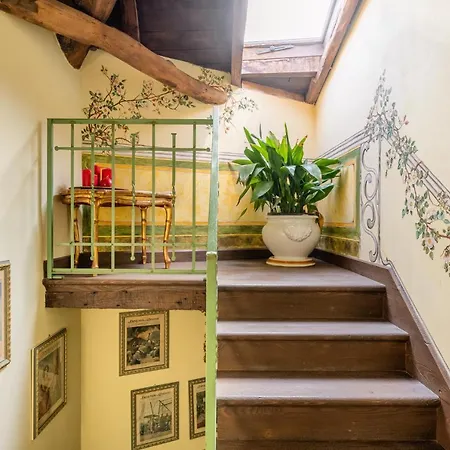 Melograni 7 莫拉扎纳